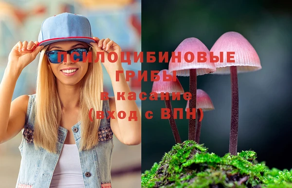 прущая мука Алзамай