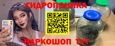 крисы Гай