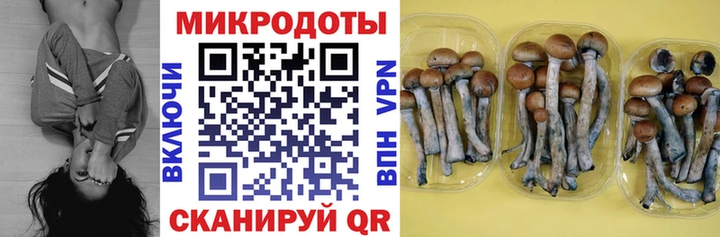 Псилоцибиновые грибы Psilocybe  Мыски 