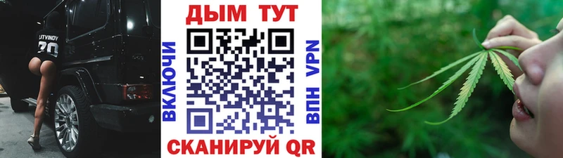 Канабис MAZAR  наркота  Мыски 
